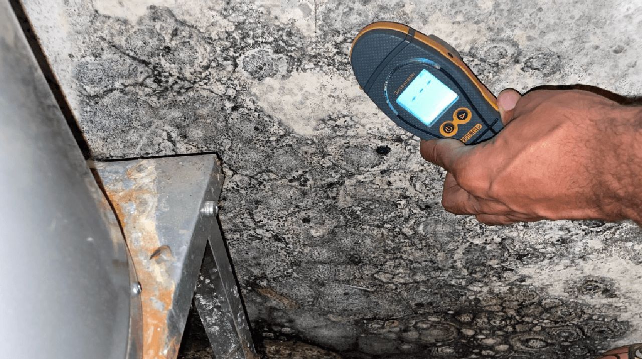 mold inspection